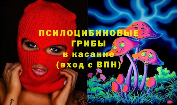 спиды Богданович